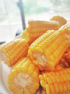 失敗無し。プリプリトウモロコシの茹で方-レシピのメイン写真