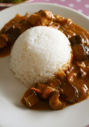 ★ココナッツカレー★-レシピのメイン写真