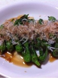 ししとうの焼きびたし-レシピのメイン写真