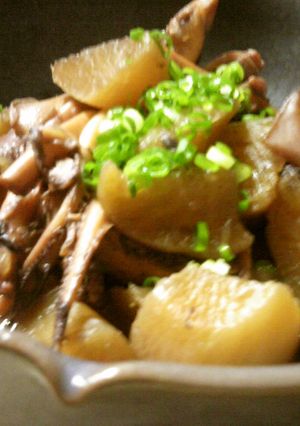 ∮イカと大根の煮物∮-レシピのメイン写真