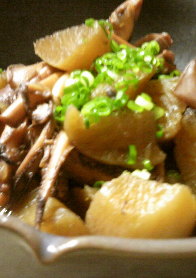 ∮イカと大根の煮物∮-レシピのメイン写真