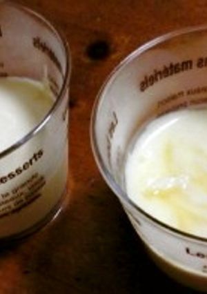 簡単!!レモンクリームチーズムース-レシピのメイン写真