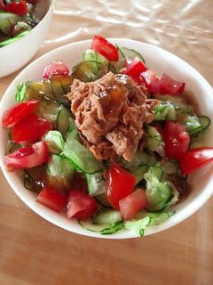 夏にさっぱり!コンソメ茶漬け♪-レシピのメイン写真