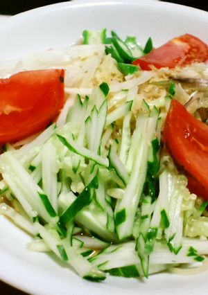 ベジ冷やし中華のたれ【追記】-レシピのメイン写真