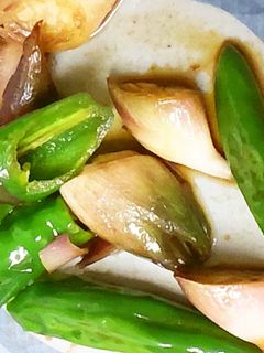 みょうがとししとうの炒め物-レシピのメイン写真