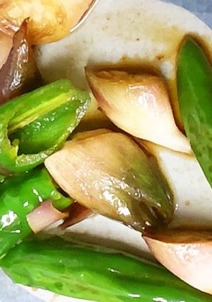 みょうがとししとうの炒め物-レシピのメイン写真