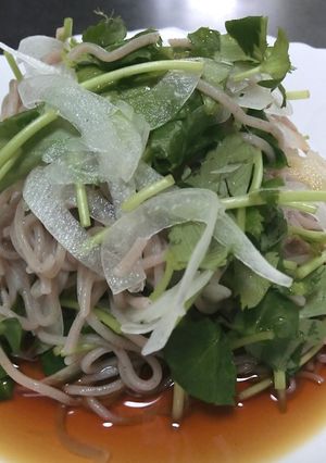 夏はさっぱり☆香味そば-レシピのメイン写真