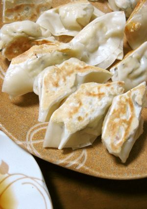 ヘルシー✿おからと豆腐のベジ餃子-レシピのメイン写真
