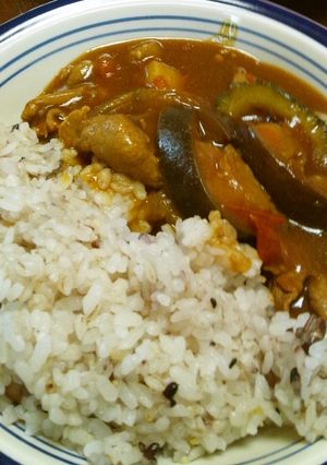 大人味！ゴーヤとトマトと夏野菜のカレー-レシピのメイン写真