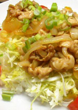 色どりキレイなオイスター濃厚ぶた丼-レシピのメイン写真
