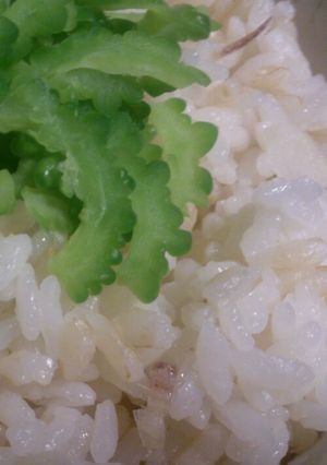 爽やかみょうがご飯-レシピのメイン写真