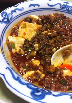ちゃんと辛い麻婆豆腐-レシピのメイン写真