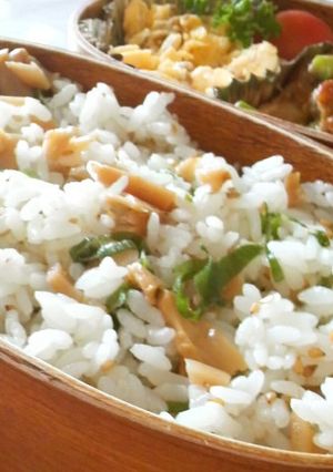味付けメンマで♪簡単中華風混ぜご飯♪-レシピのメイン写真