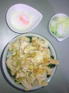 伝説のすた丼もどき-レシピのメイン写真