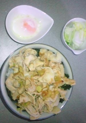 伝説のすた丼もどき-レシピのメイン写真