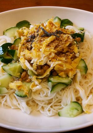 塩麹入り納豆そうめん（白だし風味）-レシピのメイン写真