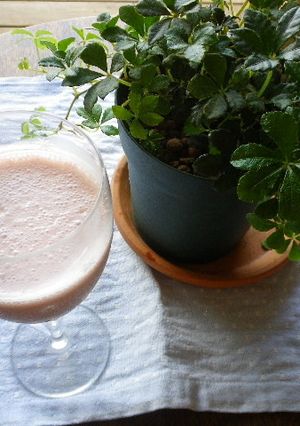 ブラックチェリーヨーグルトドリンク-レシピのメイン写真