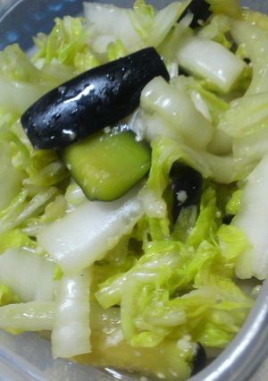 ナスと白菜の塩麹浅漬け-レシピのメイン写真