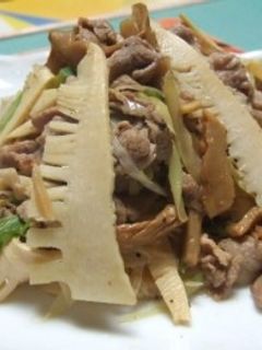 豚肉とたけのことメンマのごま油炒め-レシピのメイン写真