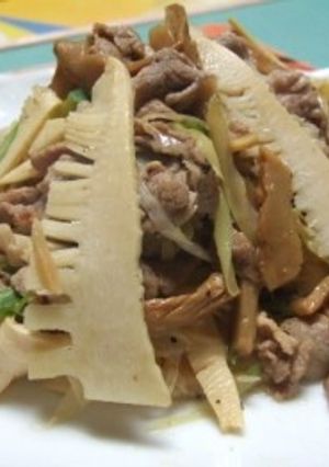 豚肉とたけのことメンマのごま油炒め-レシピのメイン写真