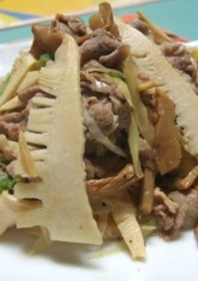 豚肉とたけのことメンマのごま油炒め-レシピのメイン写真