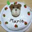 愛犬の3D似顔絵 de バースデーケーキ