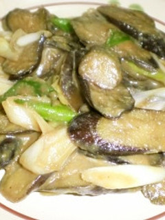 ご飯がすすむ♪茄子と長ネギの味噌炒め-レシピのメイン写真