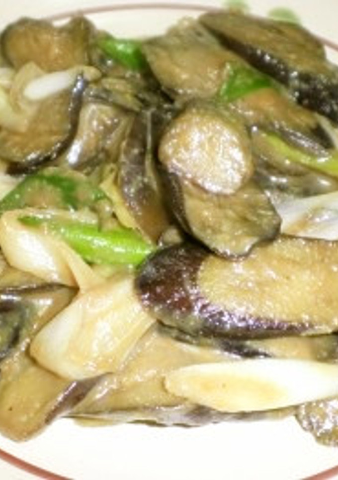 ご飯がすすむ♪茄子と長ネギの味噌炒め-レシピのメイン写真