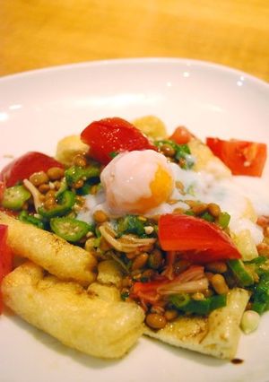 さっぱり夏野菜の納豆油揚げ【糖質制限】-レシピのメイン写真