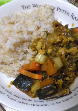 夏野菜たっぷりキーマカレー風-レシピのメイン写真