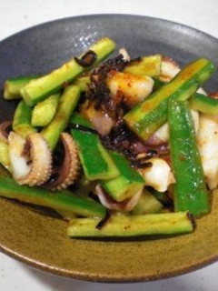 イカとキュウリのキムチ昆布-レシピのメイン写真