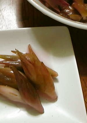 ミョウガの甘酢漬け２-レシピのメイン写真