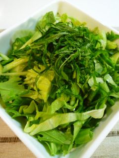 ✿緑の野菜だけで!グリーンサラダ✿-レシピのメイン写真