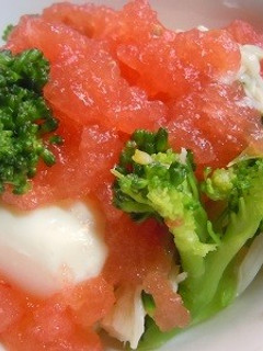 豆腐のトマトジュレがけ-レシピのメイン写真