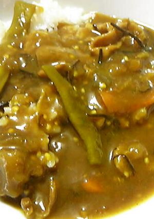 ナスと乾物の薬膳カレー-レシピのメイン写真