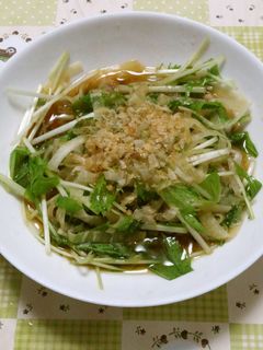 大根と水菜のサラダ-レシピのメイン写真