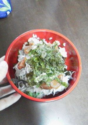 あっさり簡単lunch＊梅シラス丼-レシピのメイン写真