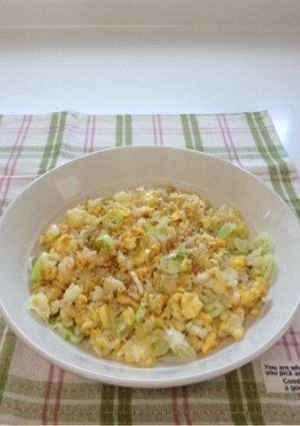 シャキシャキねぎと玉子のシンプル炒飯-レシピのメイン写真