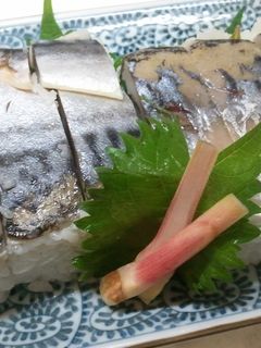 サバの押し寿司-レシピのメイン写真