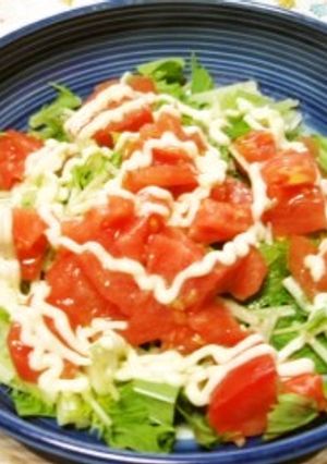 レンジとまとサラダ-レシピのメイン写真