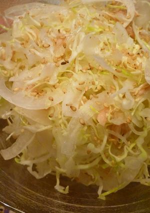 千切りキャベツのおいしい食べ方☆-レシピのメイン写真