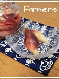 【農家のレシピ】みょうがの甘酢漬け-レシピのメイン写真