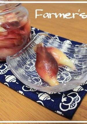 【農家のレシピ】みょうがの甘酢漬け-レシピのメイン写真