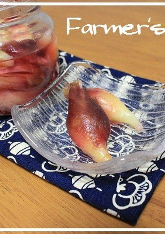 【農家のレシピ】みょうがの甘酢漬け-レシピのメイン写真