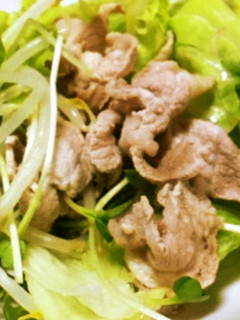 すっごく簡単冷しゃぶ-レシピのメイン写真