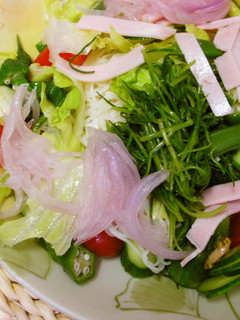 夏野菜のぶっかけそうめん-レシピのメイン写真