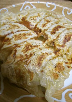 平日食べる我が家の肉餃子-レシピのメイン写真