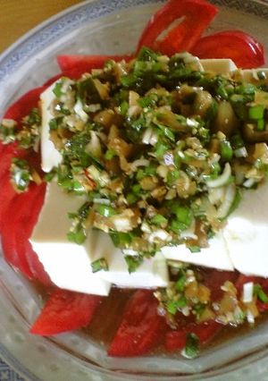 豆腐の香味ソースがけ-レシピのメイン写真