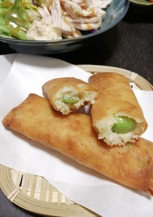 食物繊維たっぷり〜おから春巻き☆-レシピのメイン写真