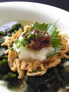 梅おろしきつねうどん♪冷たい白だしで♪-レシピのメイン写真